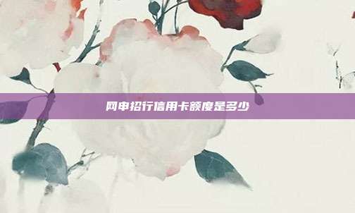 网申招行信用卡额度是多少