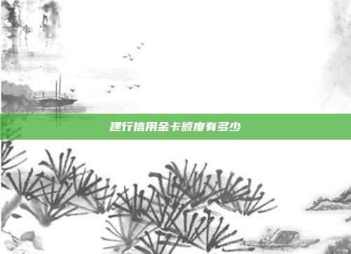 建行信用金卡额度有多少