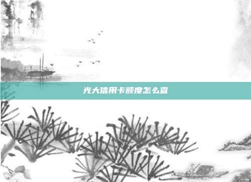 光大信用卡额度怎么查