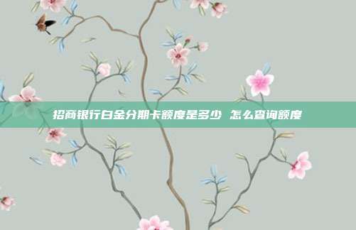 招商银行白金分期卡额度是多少 怎么查询额度
