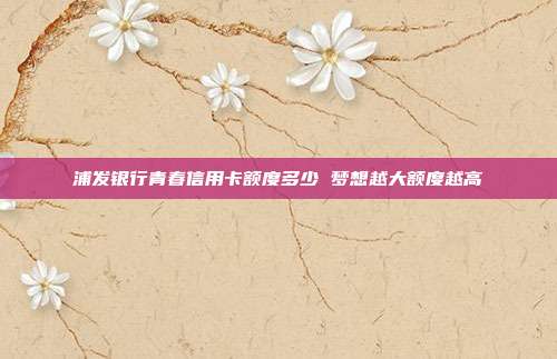 浦发银行青春信用卡额度多少 梦想越大额度越高