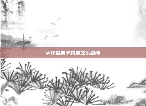 中行信用卡额度怎么查询