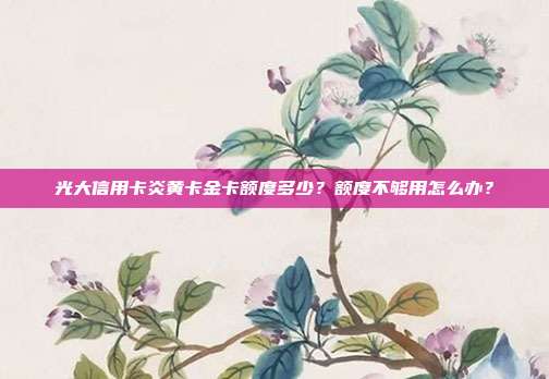 光大信用卡炎黄卡金卡额度多少?额度不够用怎么办?