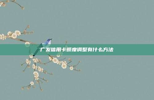 广发信用卡额度调整有什么方法