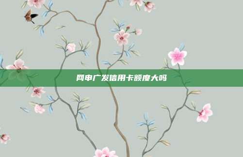 网申广发信用卡额度大吗