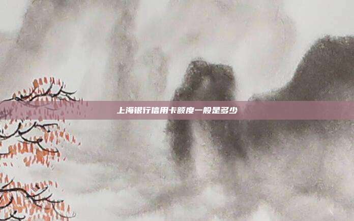 上海银行信用卡额度一般是多少
