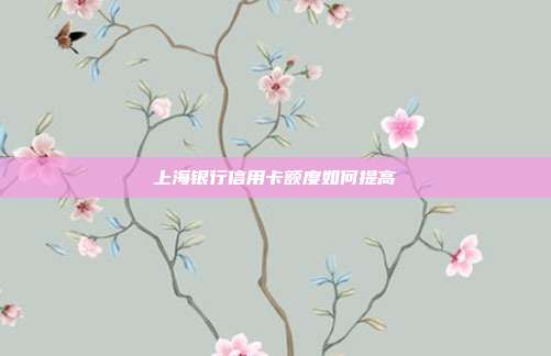 上海银行信用卡额度如何提高