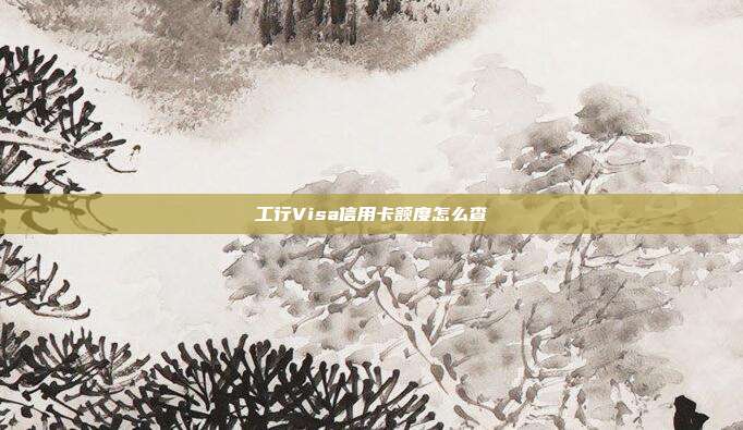工行Visa信用卡额度怎么查