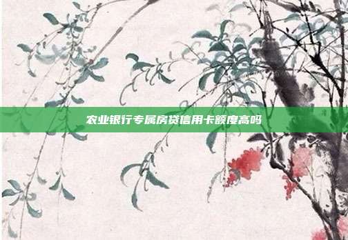 农业银行专属房贷信用卡额度高吗