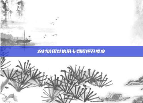农村信用社信用卡如何提升额度