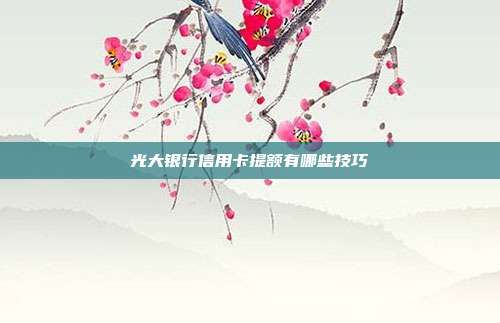 光大银行信用卡提额有哪些技巧