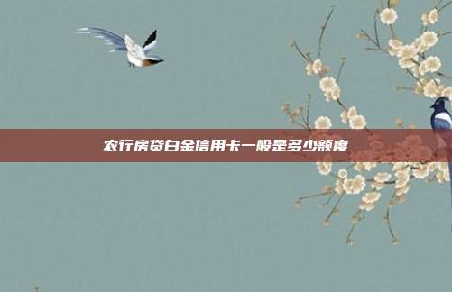 农行房贷白金信用卡一般是多少额度