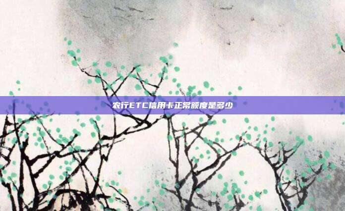 农行ETC信用卡正常额度是多少