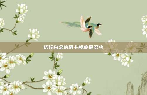 招行白金信用卡额度是多少