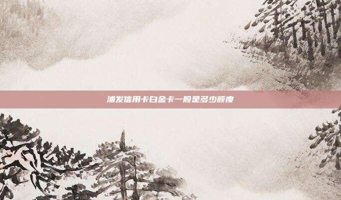 浦发信用卡白金卡一般是多少额度