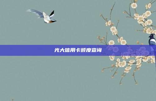光大信用卡额度查询