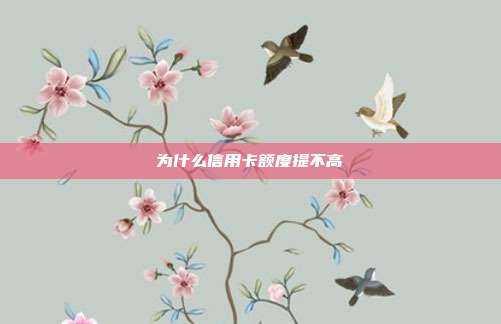 为什么信用卡额度提不高