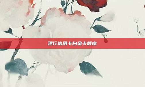 建行信用卡白金卡额度