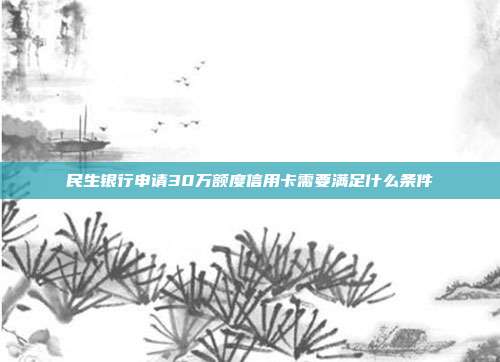 民生银行申请30万额度信用卡需要满足什么条件