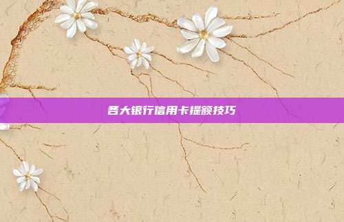 各大银行信用卡提额技巧