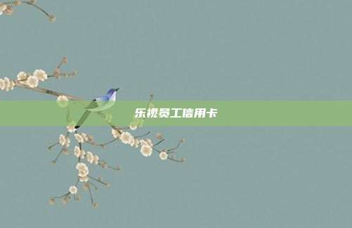 乐视员工信用卡