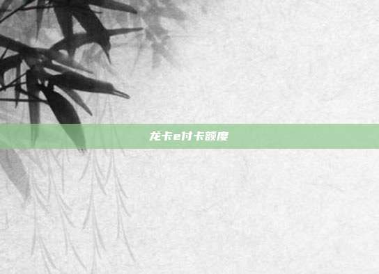 龙卡e付卡额度