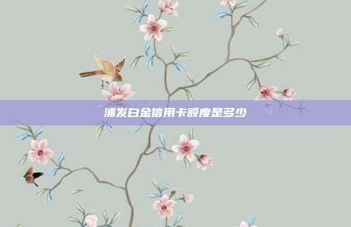 浦发白金信用卡额度是多少
