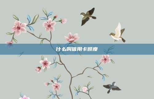 什么叫信用卡额度