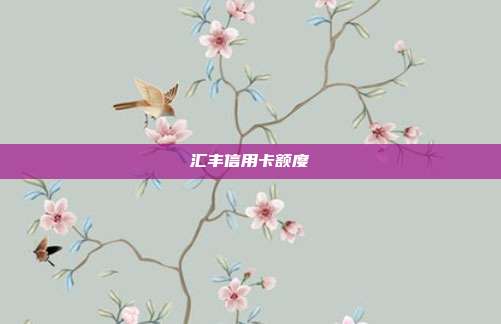 汇丰信用卡额度