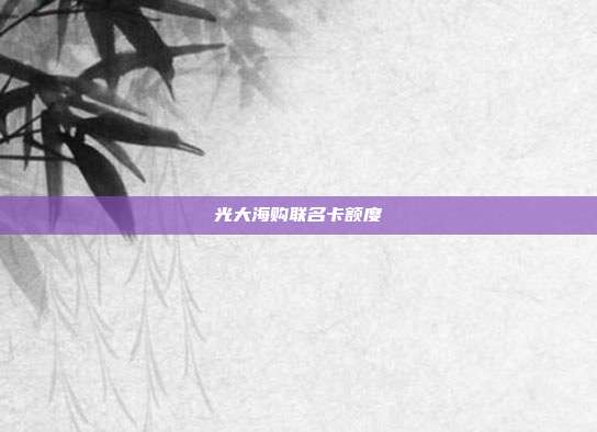 光大海购联名卡额度