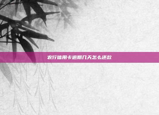 农行信用卡逾期几天怎么还款
