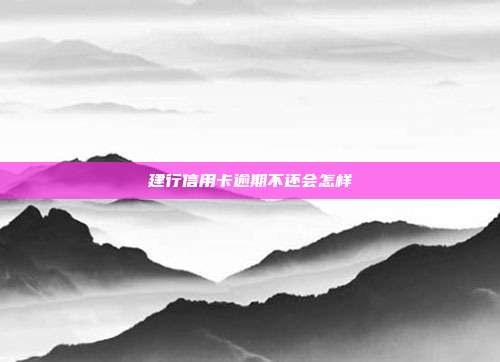 建行信用卡逾期不还会怎样