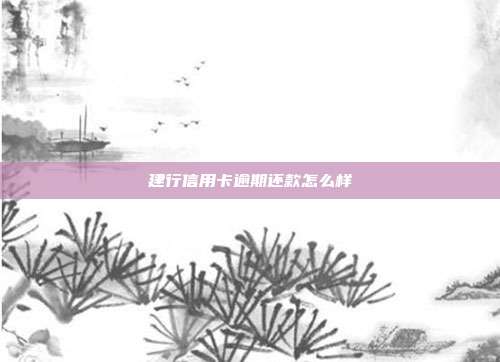 建行信用卡逾期还款怎么样
