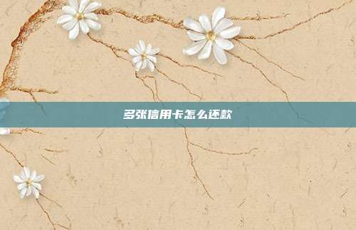 多张信用卡怎么还款