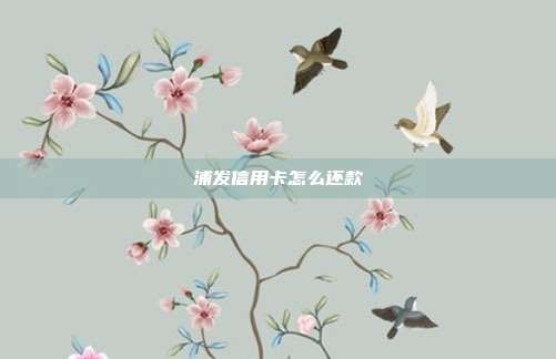 浦发信用卡怎么还款