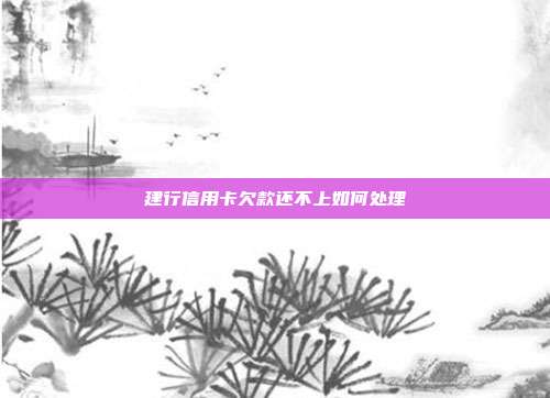 建行信用卡欠款还不上如何处理