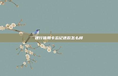 建行信用卡忘记还款怎么样