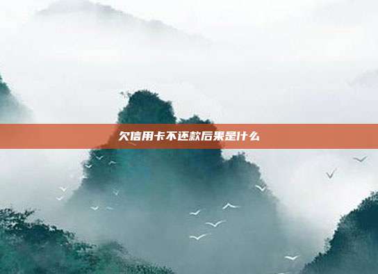 欠信用卡不还款后果是什么