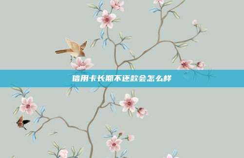 信用卡长期不还款会怎么样
