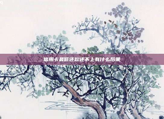 信用卡最低还款还不上有什么后果