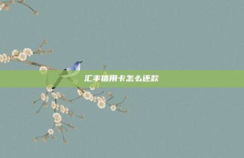汇丰信用卡怎么还款