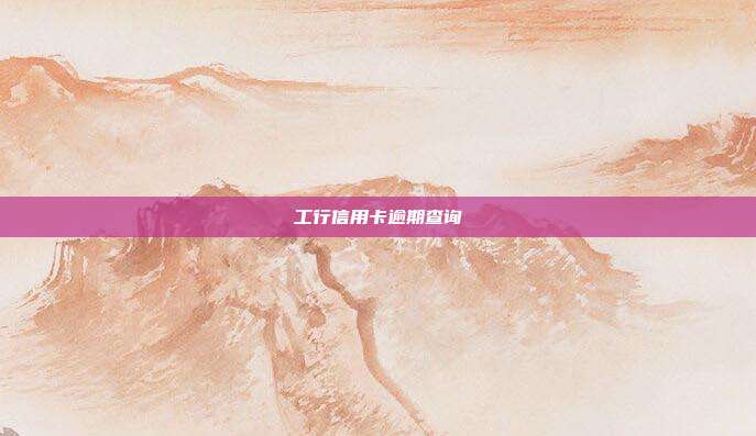 工行信用卡逾期查询