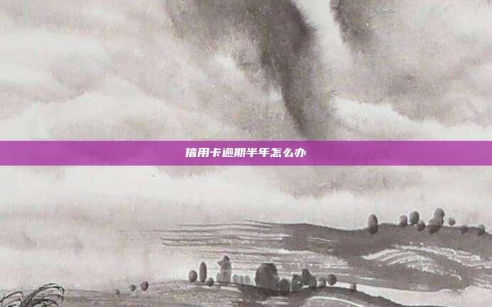 信用卡逾期半年怎么办