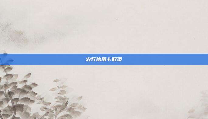 农行信用卡取现