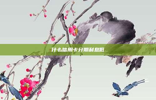 什么信用卡分期利息低