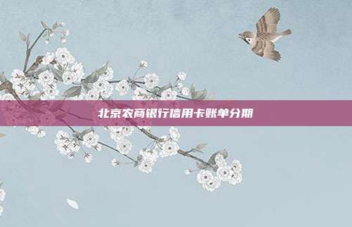 北京农商银行信用卡账单分期