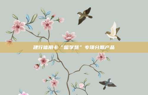 建行信用卡“留学慧”专项分期产品
