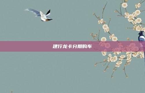 建行龙卡分期购车