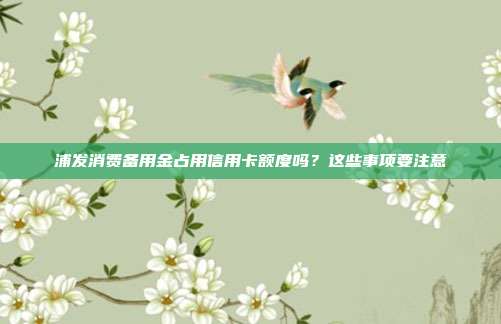 浦发消费备用金占用信用卡额度吗?这些事项要注意