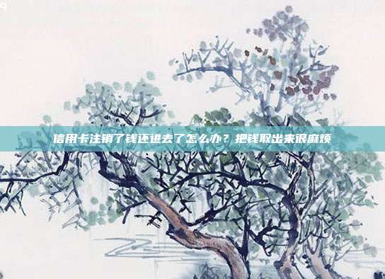 信用卡注销了钱还进去了怎么办?把钱取出来很麻烦